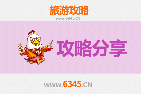 运城永济旅游攻略：跟团与自由行深度对比